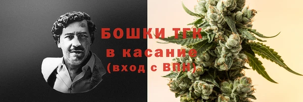прущая мука Нея