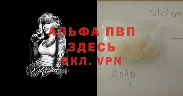 молекула духа Бежецк