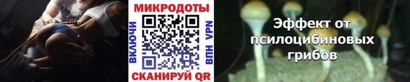 как найти закладки  Сим  omg tor  Галлюциногенные грибы Psilocybine cubensis 